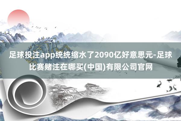 足球投注app统统缩水了2090亿好意思元-足球比赛赌注在哪买(中国)有限公司官网