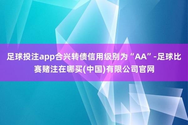 足球投注app合兴转债信用级别为“AA”-足球比赛赌注在哪买(中国)有限公司官网