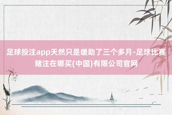 足球投注app天然只是缓助了三个多月-足球比赛赌注在哪买(中国)有限公司官网