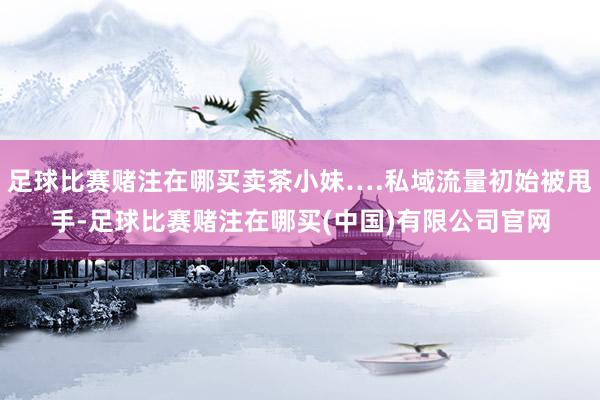 足球比赛赌注在哪买卖茶小妹….私域流量初始被甩手-足球比赛赌注在哪买(中国)有限公司官网