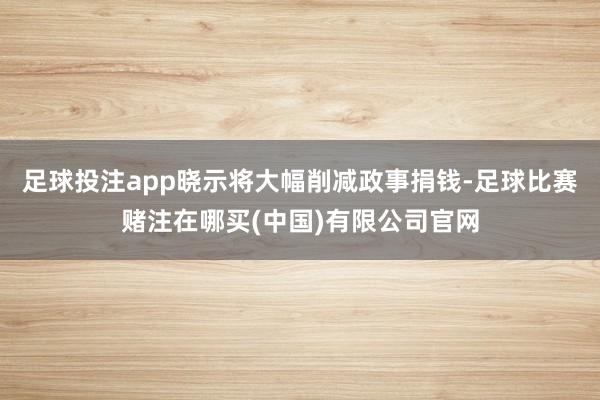 足球投注app晓示将大幅削减政事捐钱-足球比赛赌注在哪买(中国)有限公司官网