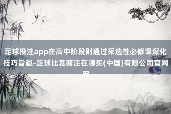 足球投注app在高中阶段则通过采选性必修课深化技巧旨趣-足球比赛赌注在哪买(中国)有限公司官网