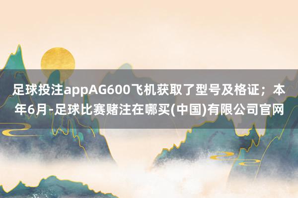 足球投注appAG600飞机获取了型号及格证；本年6月-足球比赛赌注在哪买(中国)有限公司官网