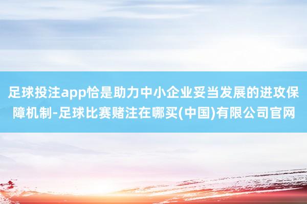 足球投注app恰是助力中小企业妥当发展的进攻保障机制-足球比赛赌注在哪买(中国)有限公司官网