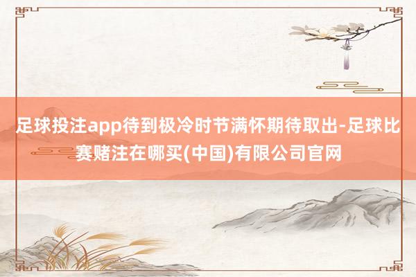 足球投注app待到极冷时节满怀期待取出-足球比赛赌注在哪买(中国)有限公司官网