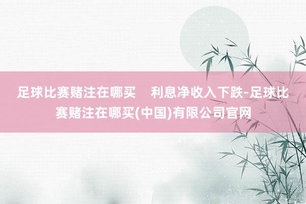 足球比赛赌注在哪买    利息净收入下跌-足球比赛赌注在哪买(中国)有限公司官网