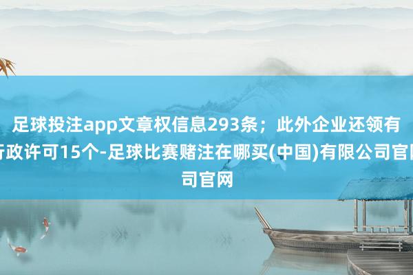 足球投注app文章权信息293条；此外企业还领有行政许可15个-足球比赛赌注在哪买(中国)有限公司官网