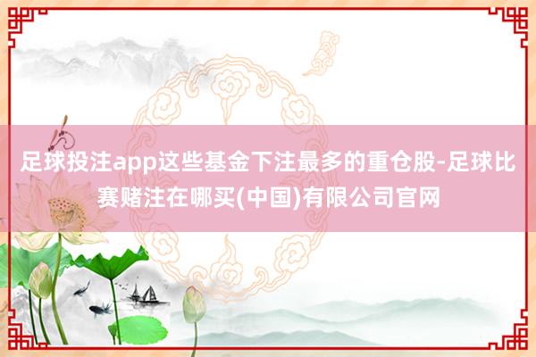 足球投注app这些基金下注最多的重仓股-足球比赛赌注在哪买(中国)有限公司官网