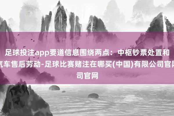 足球投注app要道信息围绕两点：中枢钞票处置和汽车售后劳动-足球比赛赌注在哪买(中国)有限公司官网