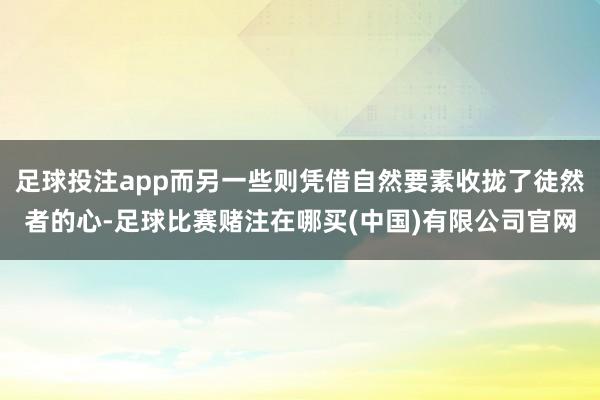 足球投注app而另一些则凭借自然要素收拢了徒然者的心-足球比赛赌注在哪买(中国)有限公司官网