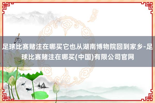 足球比赛赌注在哪买它也从湖南博物院回到家乡-足球比赛赌注在哪买(中国)有限公司官网