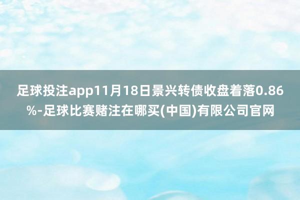 足球投注app11月18日景兴转债收盘着落0.86%-足球比赛赌注在哪买(中国)有限公司官网