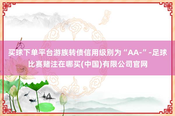 买球下单平台游族转债信用级别为“AA-”-足球比赛赌注在哪买(中国)有限公司官网