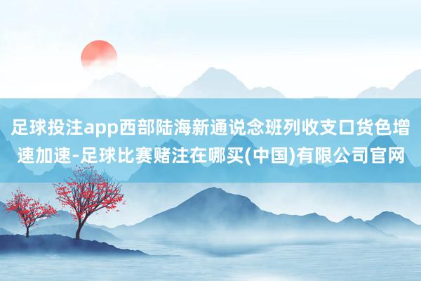 足球投注app西部陆海新通说念班列收支口货色增速加速-足球比赛赌注在哪买(中国)有限公司官网