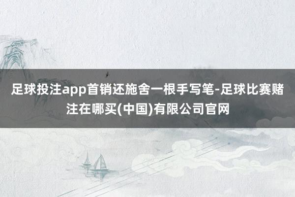 足球投注app首销还施舍一根手写笔-足球比赛赌注在哪买(中国)有限公司官网