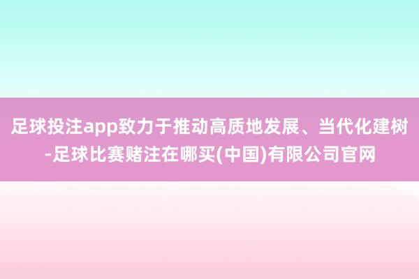 足球投注app致力于推动高质地发展、当代化建树-足球比赛赌注在哪买(中国)有限公司官网