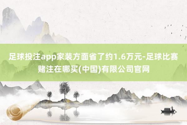 足球投注app家装方面省了约1.6万元-足球比赛赌注在哪买(中国)有限公司官网