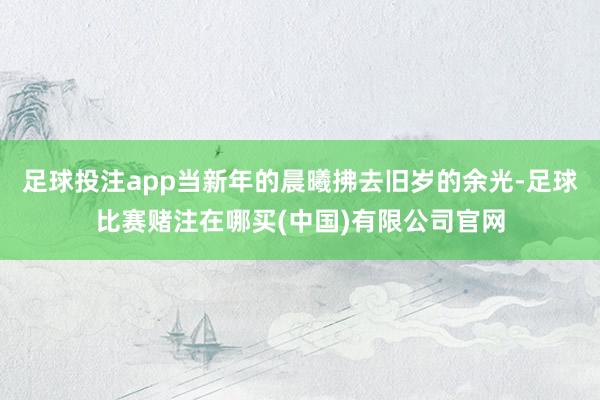 足球投注app当新年的晨曦拂去旧岁的余光-足球比赛赌注在哪买(中国)有限公司官网