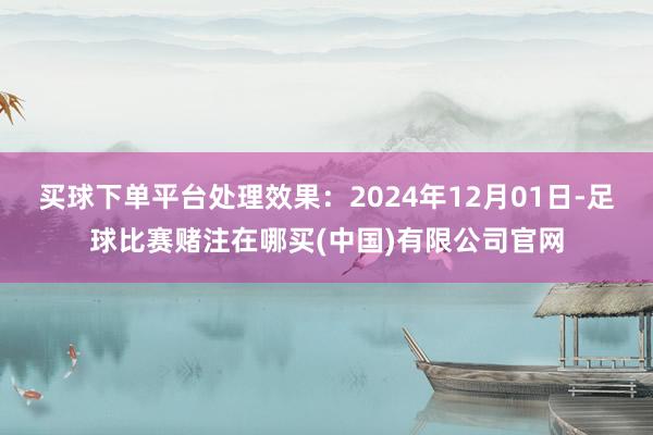 买球下单平台处理效果：2024年12月01日-足球比赛赌注在哪买(中国)有限公司官网
