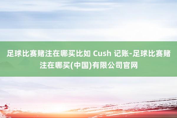 足球比赛赌注在哪买比如 Cush 记账-足球比赛赌注在哪买(中国)有限公司官网