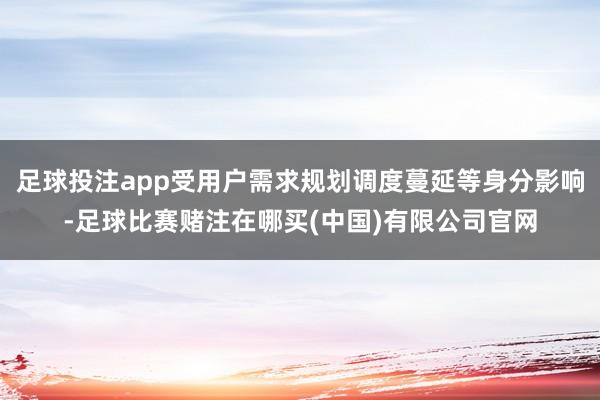 足球投注app受用户需求规划调度蔓延等身分影响-足球比赛赌注在哪买(中国)有限公司官网
