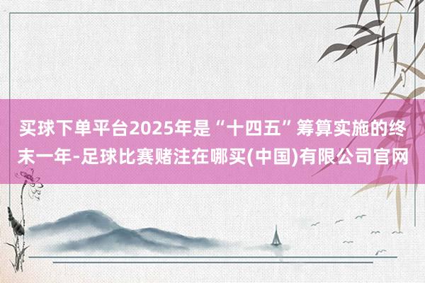 买球下单平台2025年是“十四五”筹算实施的终末一年-足球比赛赌注在哪买(中国)有限公司官网