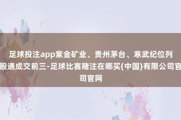 足球投注app　　紫金矿业、贵州茅台、寒武纪位列沪股通成交前三-足球比赛赌注在哪买(中国)有限公司官网