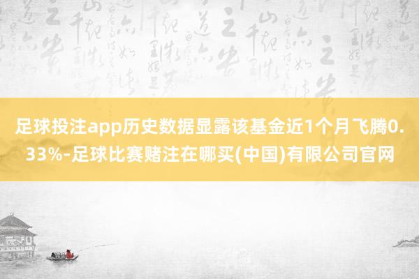 足球投注app历史数据显露该基金近1个月飞腾0.33%-足球比赛赌注在哪买(中国)有限公司官网
