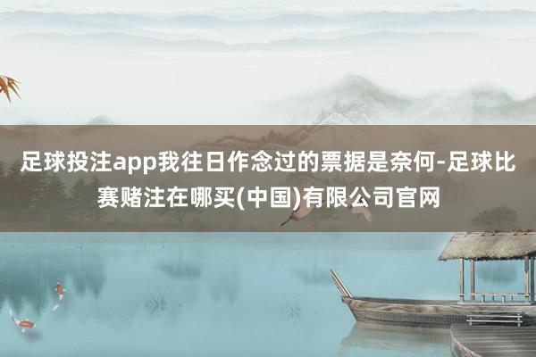 足球投注app我往日作念过的票据是奈何-足球比赛赌注在哪买(中国)有限公司官网