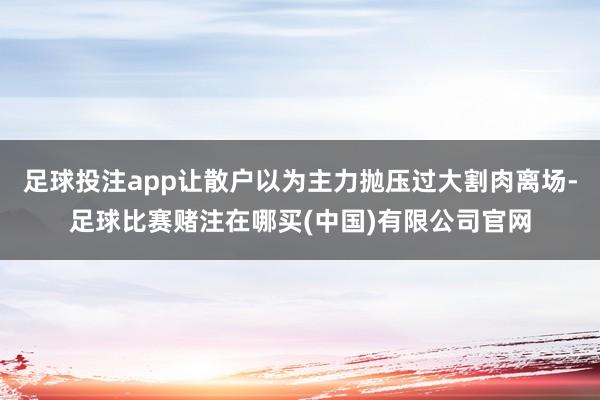 足球投注app让散户以为主力抛压过大割肉离场-足球比赛赌注在哪买(中国)有限公司官网