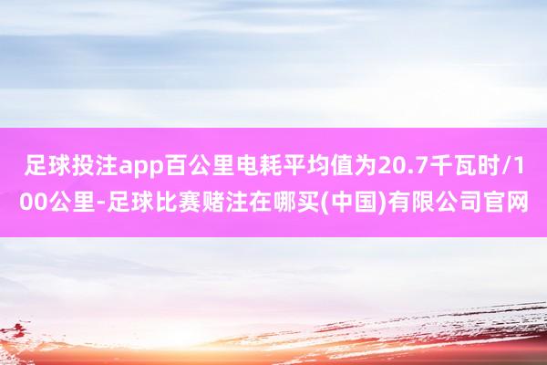 足球投注app百公里电耗平均值为20.7千瓦时/100公里-足球比赛赌注在哪买(中国)有限公司官网