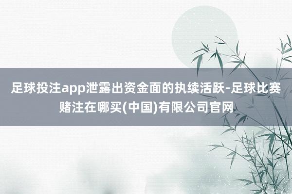 足球投注app泄露出资金面的执续活跃-足球比赛赌注在哪买(中国)有限公司官网