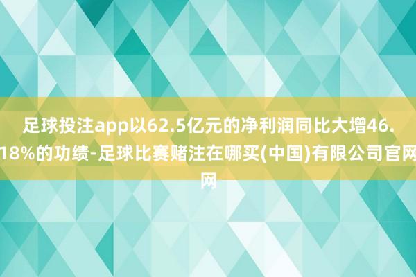 足球投注app以62.5亿元的净利润同比大增46.18%的功绩-足球比赛赌注在哪买(中国)有限公司官网