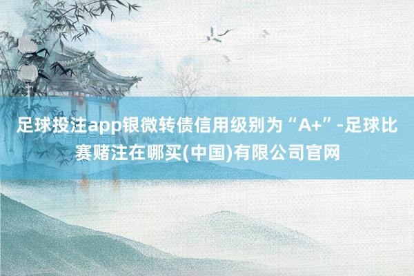 足球投注app银微转债信用级别为“A+”-足球比赛赌注在哪买(中国)有限公司官网