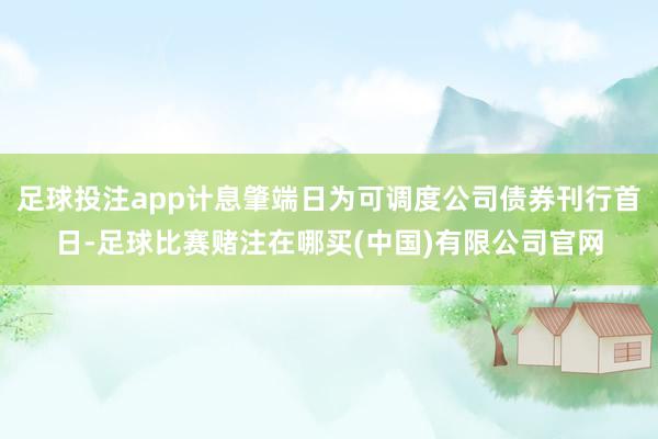 足球投注app计息肇端日为可调度公司债券刊行首日-足球比赛赌注在哪买(中国)有限公司官网