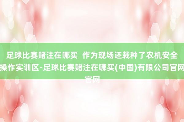 足球比赛赌注在哪买  作为现场还栽种了农机安全操作实训区-足球比赛赌注在哪买(中国)有限公司官网