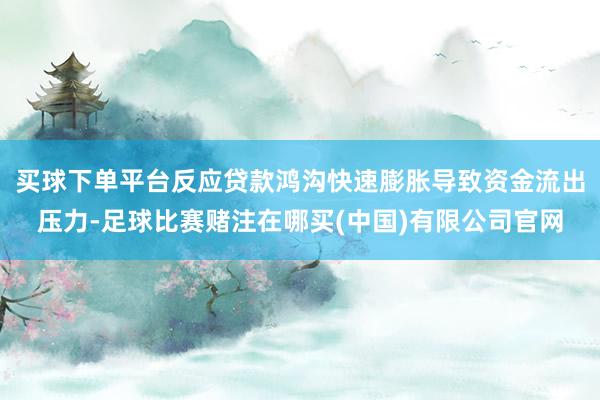 买球下单平台反应贷款鸿沟快速膨胀导致资金流出压力-足球比赛赌注在哪买(中国)有限公司官网