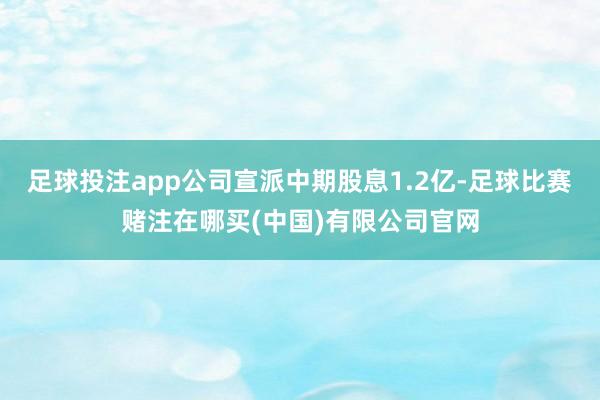 足球投注app公司宣派中期股息1.2亿-足球比赛赌注在哪买(中国)有限公司官网