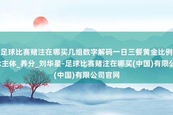 足球比赛赌注在哪买几组数字解码一日三餐黄金比例_东说念主体_养分_刘华星-足球比赛赌注在哪买(中国)有限公司官网