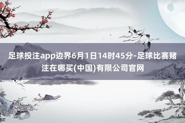 足球投注app边界6月1日14时45分-足球比赛赌注在哪买(中国)有限公司官网