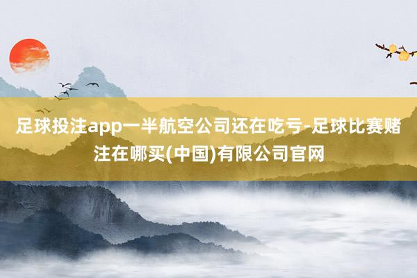 足球投注app一半航空公司还在吃亏-足球比赛赌注在哪买(中国)有限公司官网