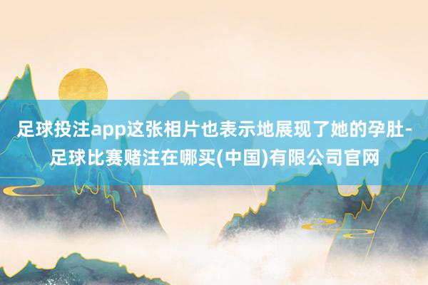 足球投注app这张相片也表示地展现了她的孕肚-足球比赛赌注在哪买(中国)有限公司官网