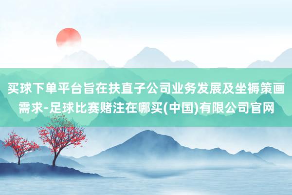 买球下单平台旨在扶直子公司业务发展及坐褥策画需求-足球比赛赌注在哪买(中国)有限公司官网