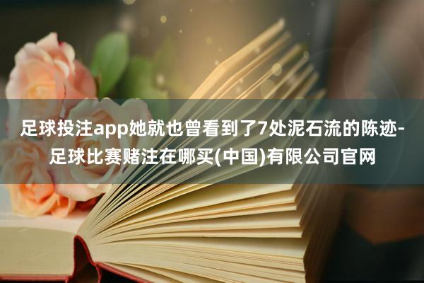 足球投注app她就也曾看到了7处泥石流的陈迹-足球比赛赌注在哪买(中国)有限公司官网