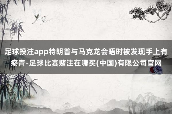 足球投注app特朗普与马克龙会晤时被发现手上有瘀青-足球比赛赌注在哪买(中国)有限公司官网