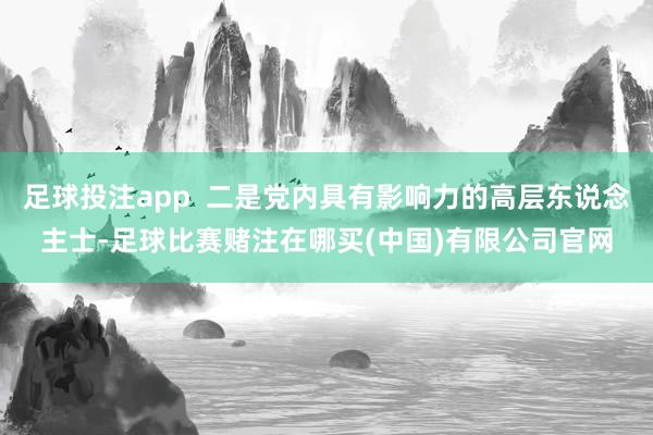 足球投注app  二是党内具有影响力的高层东说念主士-足球比赛赌注在哪买(中国)有限公司官网