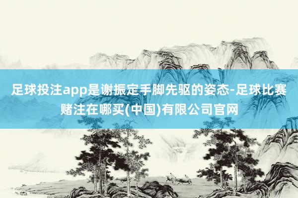 足球投注app是谢振定手脚先驱的姿态-足球比赛赌注在哪买(中国)有限公司官网