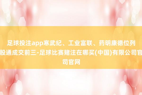足球投注app　　寒武纪、工业富联、药明康德位列沪股通成交前三-足球比赛赌注在哪买(中国)有限公司官网