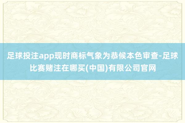 足球投注app现时商标气象为恭候本色审查-足球比赛赌注在哪买(中国)有限公司官网