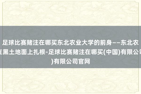 足球比赛赌注在哪买东北农业大学的前身——东北农学院在黑土地面上扎根-足球比赛赌注在哪买(中国)有限公司官网